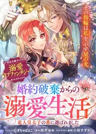 婚約破棄からの溺愛生活 竜人皇太子の番に選ばれました Raw Free